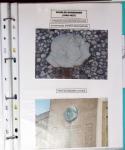 Nungesser et Coli. Collection de 50 documents dans une chemise plastique bleu clair dont 4 cartes postales d'époque, n°1523 épreuve de luxe,...