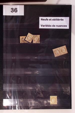 Collection des 10c, 20c et 40c Cérès du Siège de Paris : détachés et lettres, dont 6 lettres n°37 OBL losange de points ASNA + CAD,...