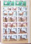 KAZAKHSTAN 1992-2005, Stock en classeur du KAZAKHSTAN,