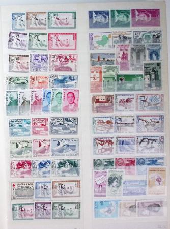1956-2011, Collection du MAROC en classeur, neuf **,