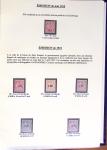 1900-1930, Collection en un album fait maison de Mouchon,