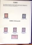 1900-1930, Collection en un album fait maison de Mouchon,