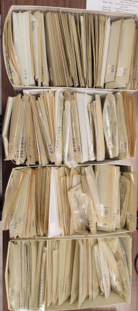1900-89 Énorme stock de timbres neufs, pratiquement