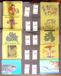 1900-2002, Collection de SUISSE en 13 albums et classeurs,