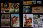 1876-2004 FISCAUX - CHASSE : Très belle collection