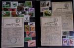 1876-2004 FISCAUX - CHASSE : Très belle collection