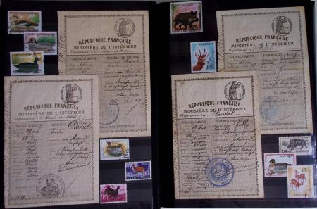 1876-2004 FISCAUX - CHASSE : Très belle collection