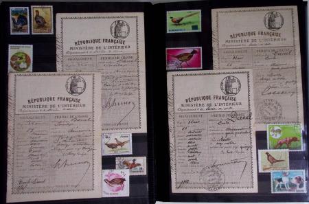 1876-2004 FISCAUX - CHASSE : Très belle collection