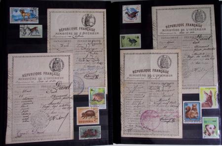 1876-2004 FISCAUX - CHASSE : Très belle collection