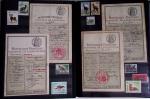 1876-2004 FISCAUX - CHASSE : Très belle collection