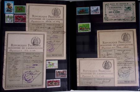1876-2004 FISCAUX - CHASSE : Très belle collection