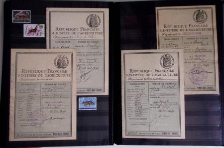 1876-2004 FISCAUX - CHASSE : Très belle collection