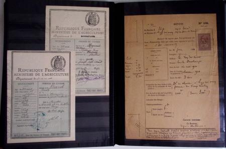 1876-2004 FISCAUX - CHASSE : Très belle collection