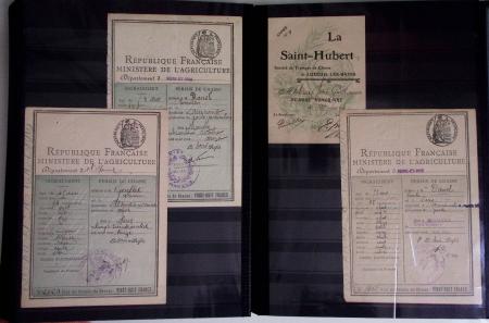 1876-2004 FISCAUX - CHASSE : Très belle collection