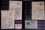 1876-2004 FISCAUX - CHASSE : Très belle collection