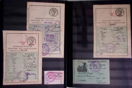 1876-2004 FISCAUX - CHASSE : Très belle collection