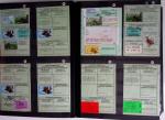 1876-2004 FISCAUX - CHASSE : Très belle collection