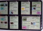 1876-2004 FISCAUX - CHASSE : Très belle collection