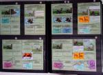 1876-2004 FISCAUX - CHASSE : Très belle collection