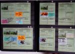 1876-2004 FISCAUX - CHASSE : Très belle collection