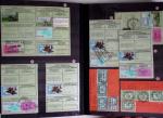 1876-2004 FISCAUX - CHASSE : Très belle collection