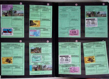 1876-2004 FISCAUX - CHASSE : Très belle collection