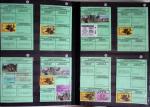 1876-2004 FISCAUX - CHASSE : Très belle collection