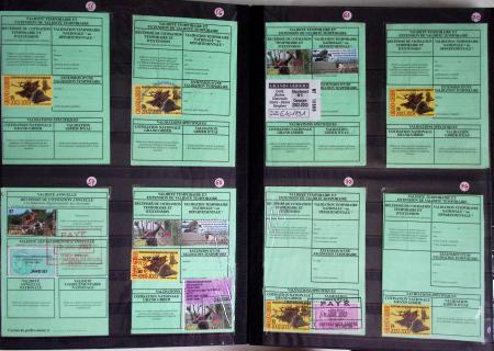 1876-2004 FISCAUX - CHASSE : Très belle collection