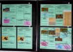 1876-2004 FISCAUX - CHASSE : Très belle collection