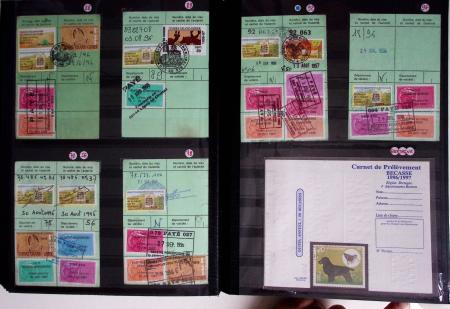 1876-2004 FISCAUX - CHASSE : Très belle collection
