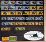 1876-2004 FISCAUX - CHASSE : Très belle collection