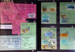 1876-2004 FISCAUX - CHASSE : Très belle collection