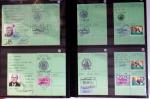 1876-2004 FISCAUX - CHASSE : Très belle collection