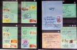1876-2004 FISCAUX - CHASSE : Très belle collection
