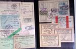1876-2004 FISCAUX - CHASSE : Très belle collection