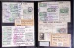 1876-2004 FISCAUX - CHASSE : Très belle collection