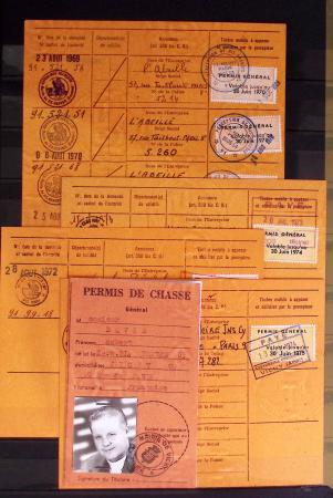 1876-2004 FISCAUX - CHASSE : Très belle collection