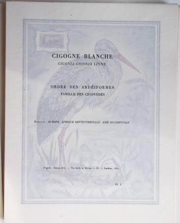 LITERATURE : 1950, Cinq volumes numérotés des éditions