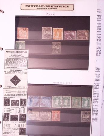 1849-1920, Beaucoup de pays du monde avec une exceptionnelle