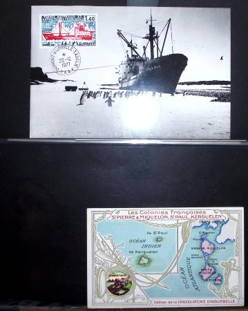 1970-1999 Collection en 4 albums de timbres neufs en