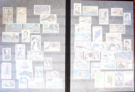 1948-2023 Collection neuve en neuf classeurs avec bonnes