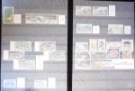 1948-2023 Collection neuve en neuf classeurs avec bonnes
