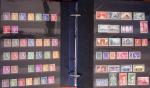 1900-2017, Collection de FRANCE neuf en 14 classeurs,