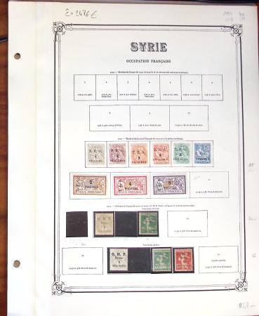 1924-42, SYRIE / GRAND LIBAN : Collection de neufs