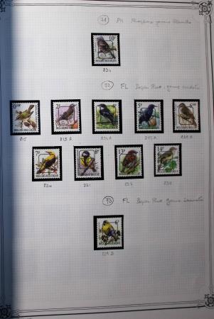 1849-2013 Belle collection bien fournie en 11 albums