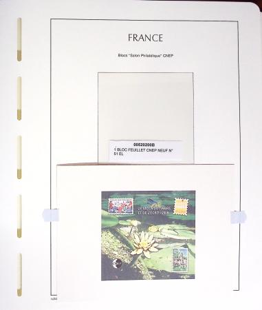 1980-2019, Collection en 2 classeurs, bloc CNEP avec