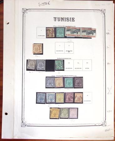 1888-1960 MAGHREB: Deux collections de Tunisie sur