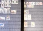 1898-1994 Four stockbooks of China incl. some useful