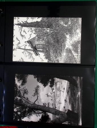 1954-2008, Collection de France avec BF, TVP, PA, 1