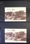 1954-2008, Collection de France avec BF, TVP, PA, 1